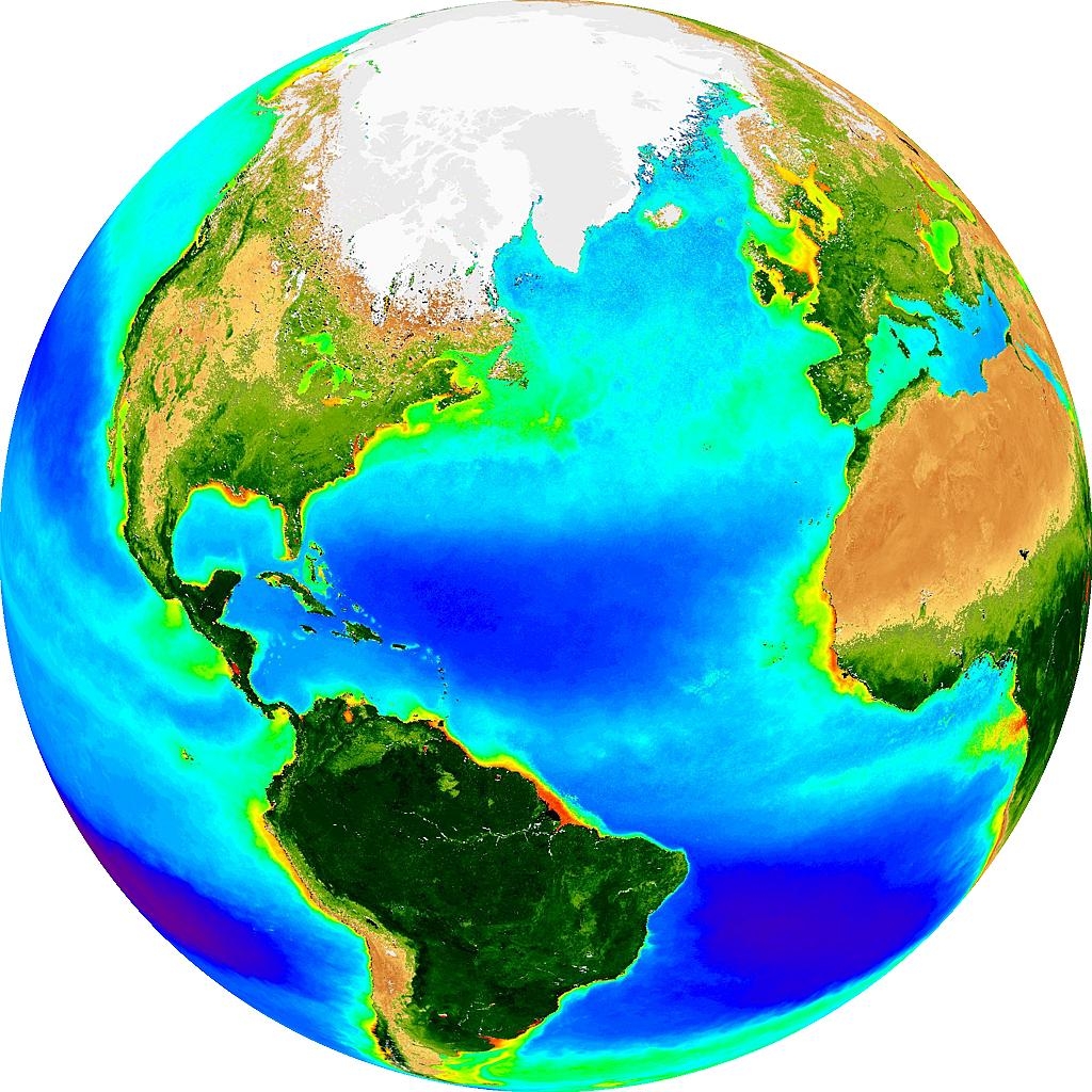 Satellite surface colour image