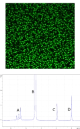 colloids: confocal and nmr