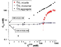 polymer surfactant aggregates