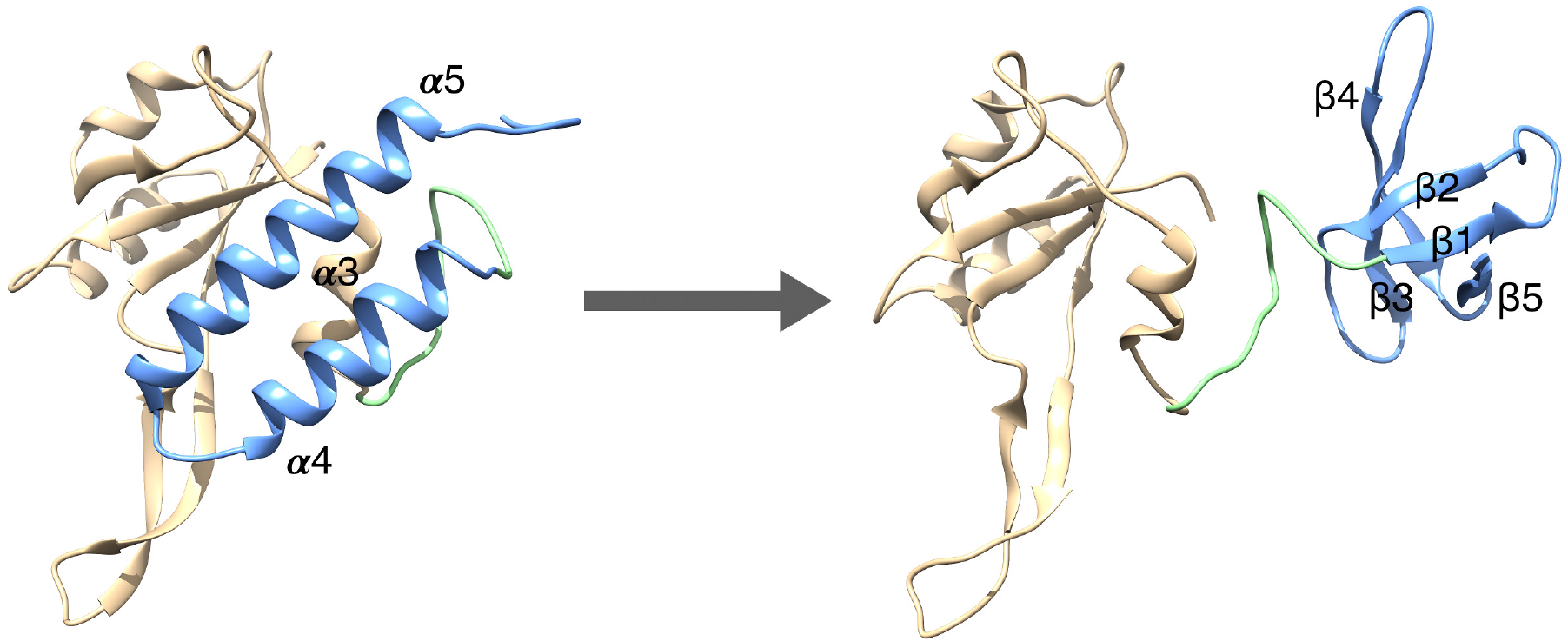 Protein RfaH