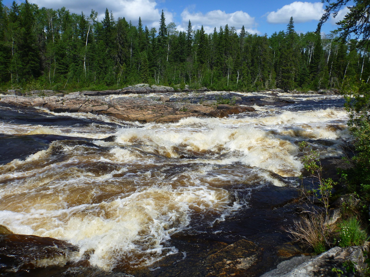  Downstream of the above  